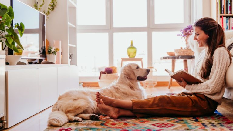 Cómo limpiar tu casa si vives con mascotas - Grupo Servalia